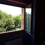 Eguzkilore *